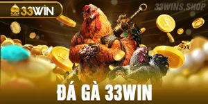 đá gà 33WIN