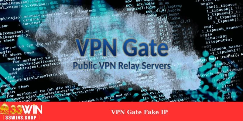 VPN Gate Fake IP